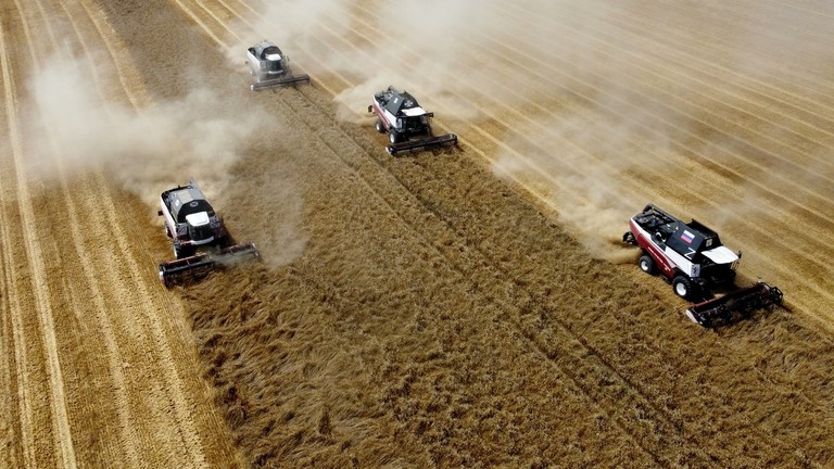 EU planning tariffs on Russian grain – FT