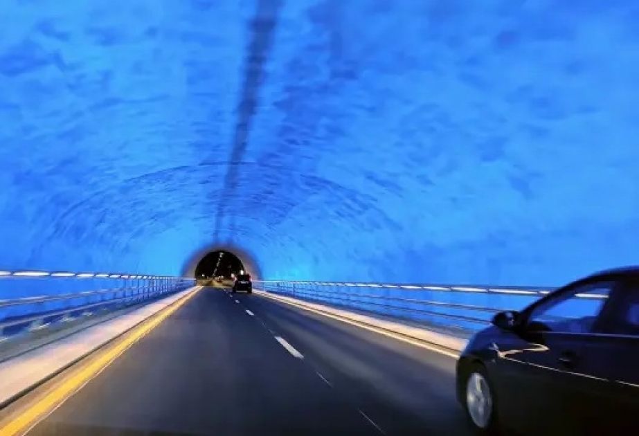Italy to assemble biggest submerged burrow in Europe