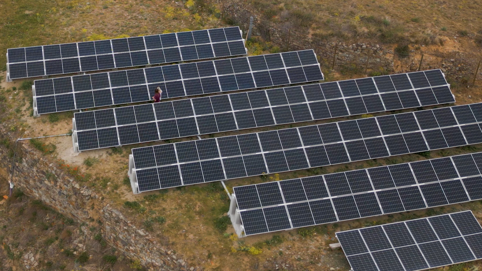 GREEN SILK ROAD: Chinese Solar Technology Helps BRI Partners to Boost Collaboration in Green Energy