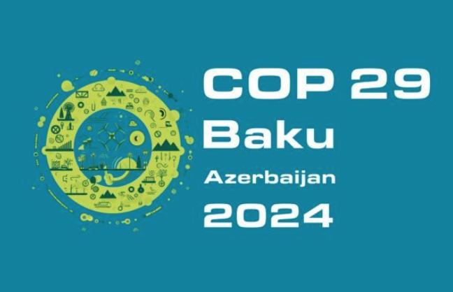 UN Envoy Pledges Close Cooperation with Azerbaijan for COP29 Presidency