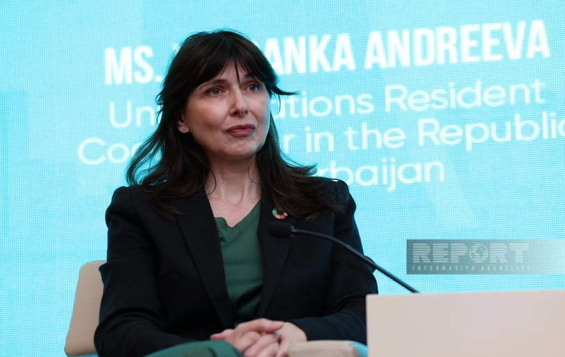 Resident-coordinator: UN needs green programs to educate young people