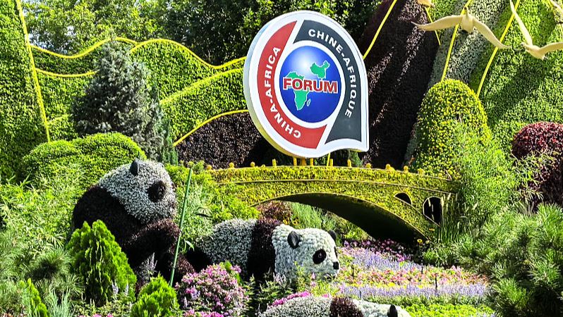 Beijing Hosts FOCAC for Liberating African Continent from Poverty China-Africa Cooperation in Beijing, China, Sept 2, 2024 NSN Asia